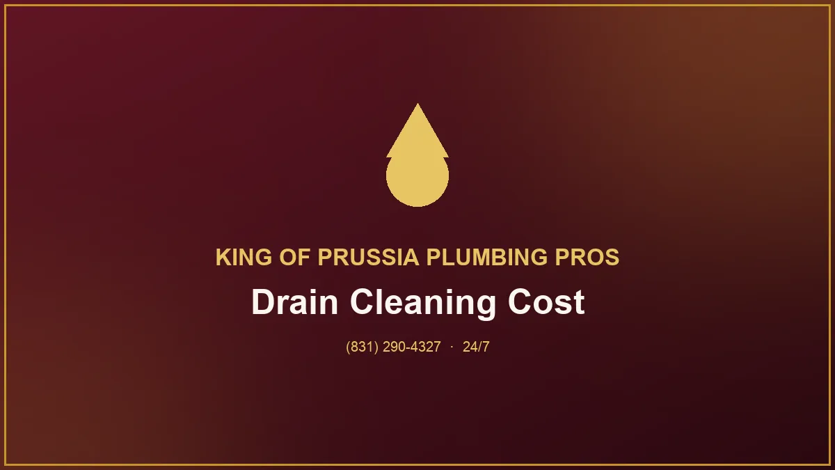 Plumber snaking a kitchen sink drain while explaining drain cleaning pricing to a King of Prussia homeowner